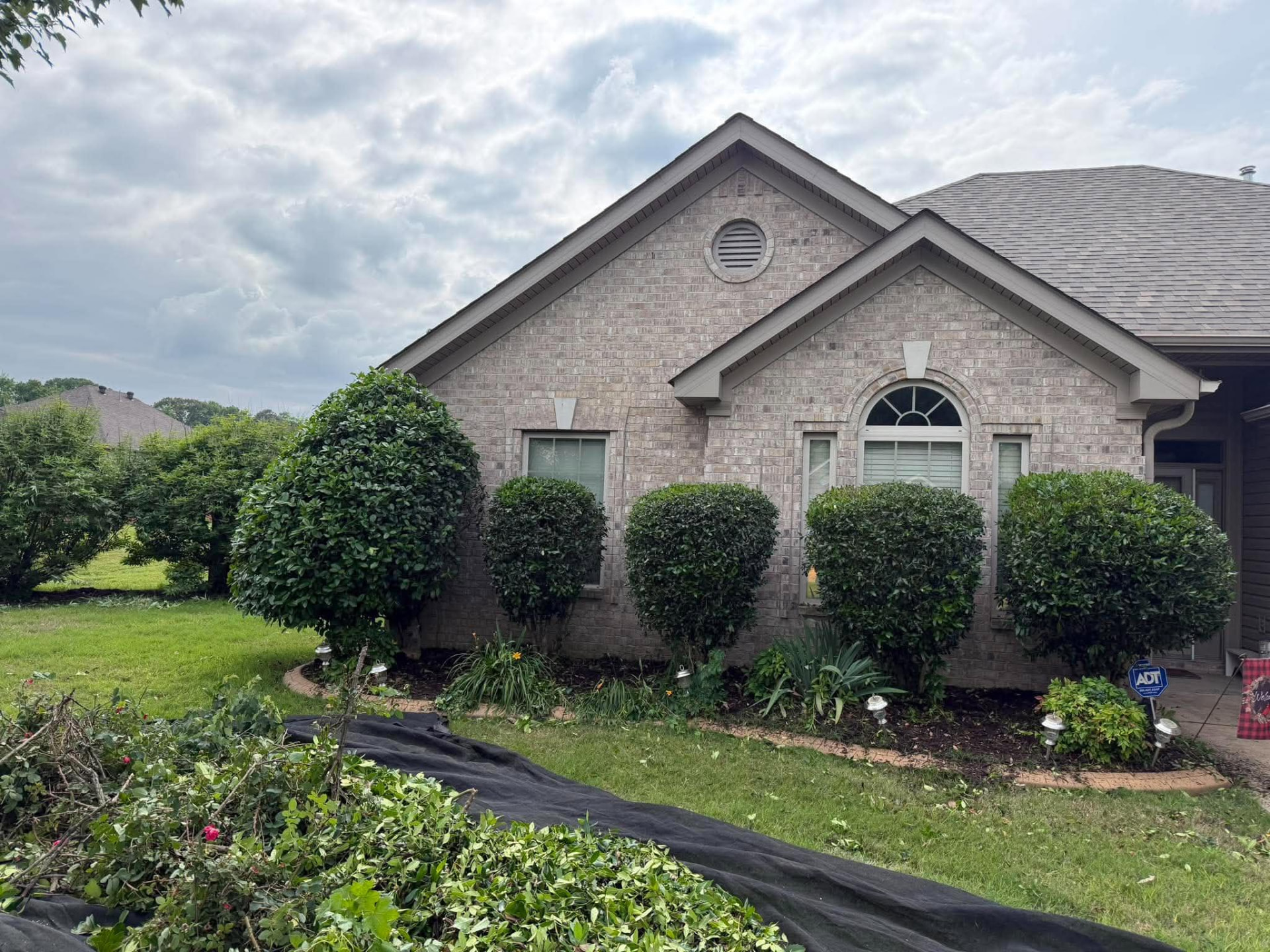 Professional shrub trimming and property cleanup