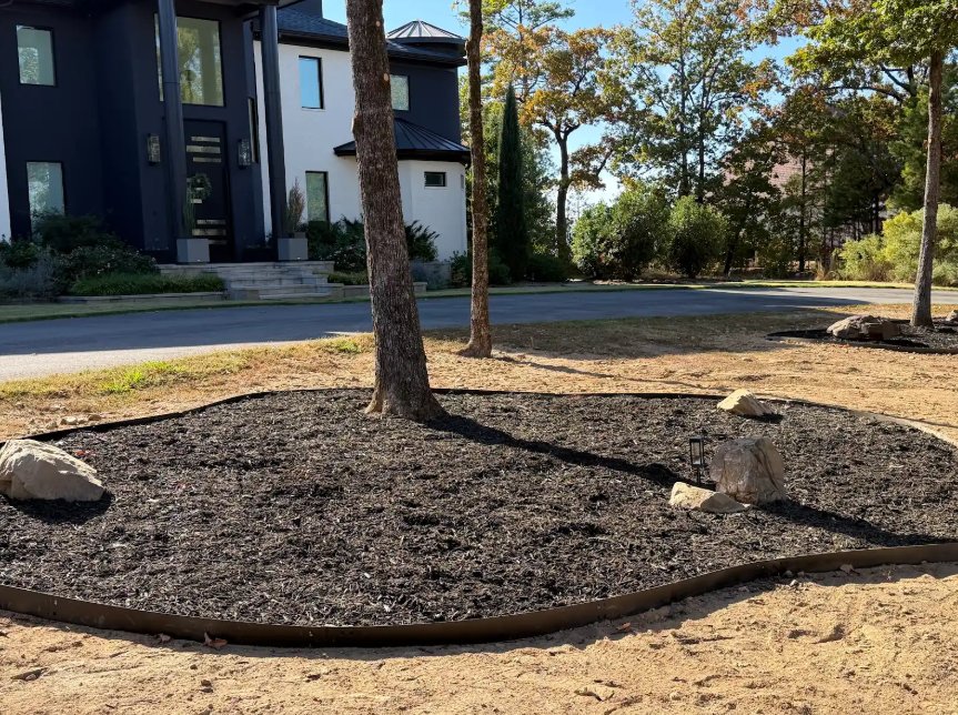New tree ring bed with steel edging and fresh mulch